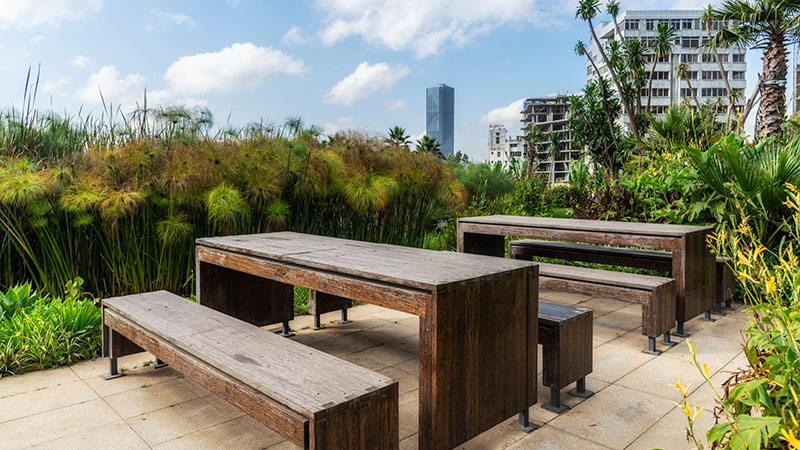 1640765256118531.jpg 埃塞-12.jpg