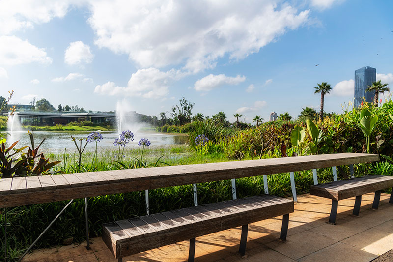 1640765281250223.jpg 埃塞-14.jpg