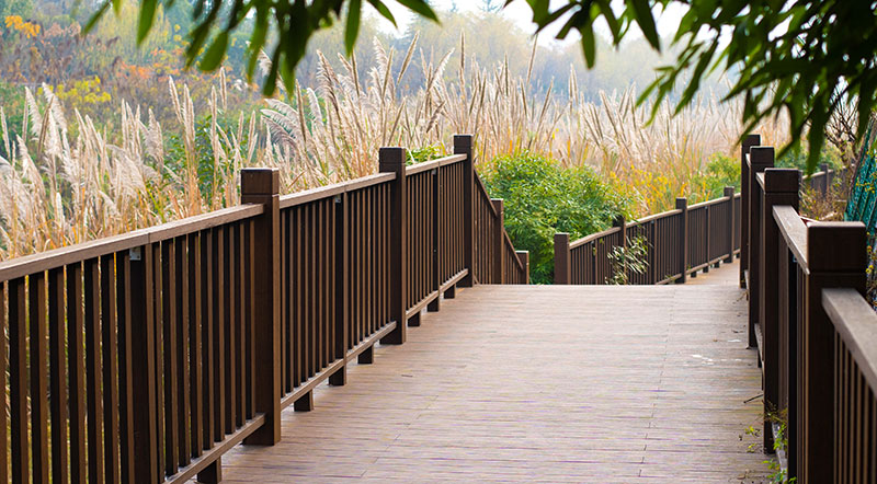 1648285645249367.jpg zhangjizjie-14.jpg