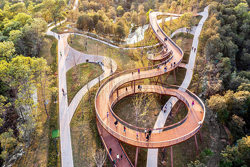 嶂背郊野公園竹木棧道 嶂背郊野公園竹木棧道
