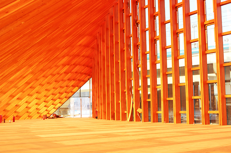 1651224513125119.jpg zygy-11.jpg