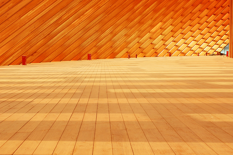 1651224527133667.jpg zygy-14.jpg