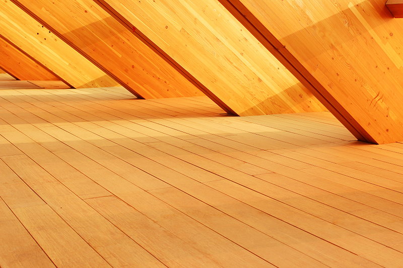 1651224582205617.jpg zygy-13.jpg