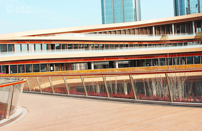 1651224636172063.jpg zygy-9.jpg