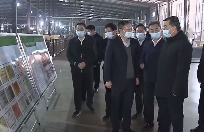 省委書記在桃花江竹材考察 省委書記在桃花江竹材考察