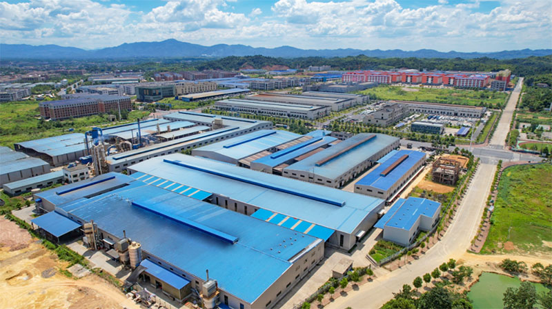 省委書記來(lái)桃花江竹材考察