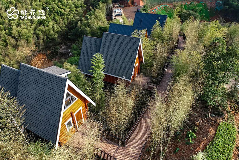 竹林秘境 竹木秘境