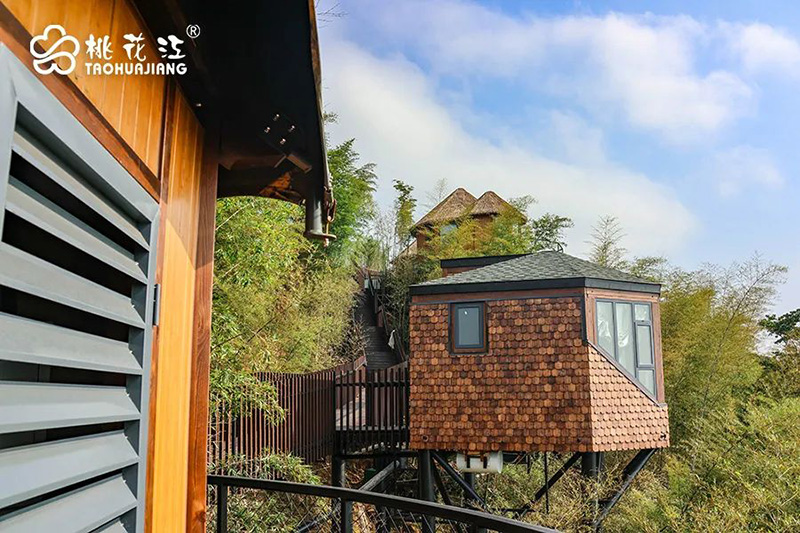 竹質(zhì)樹屋 竹質(zhì)樹屋