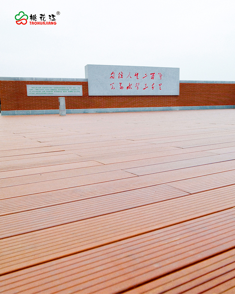 恰同學(xué)少年廣場